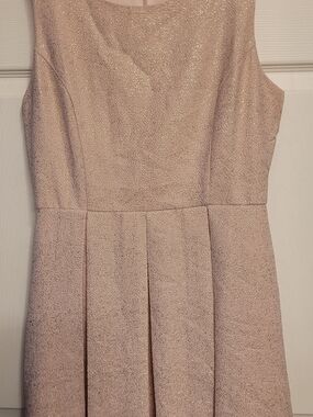 Forever 21 Pale Pink Gold Glitter Fit and Flare Dress Sz. Lg